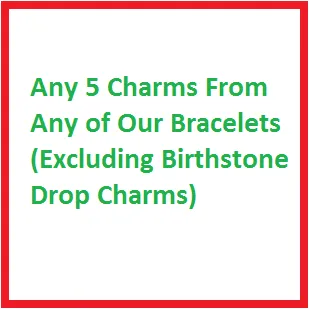 Any 5 Charms (Excluding Birthstone Drop Charms)