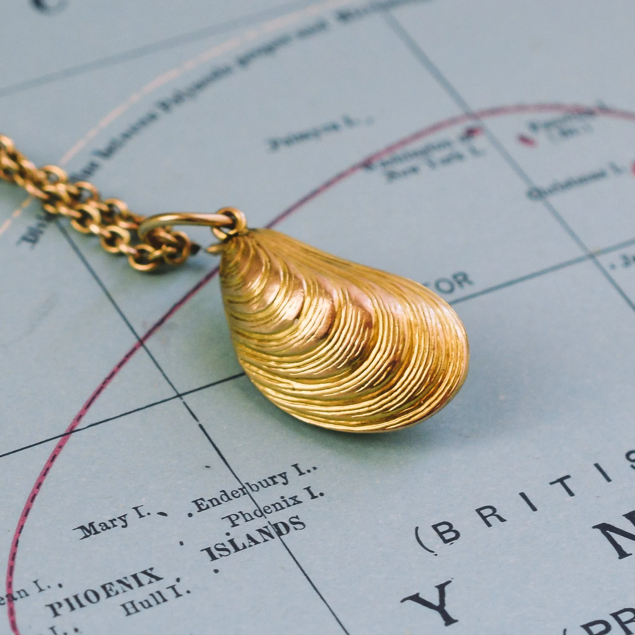 Victorian Gold Mussel Locket